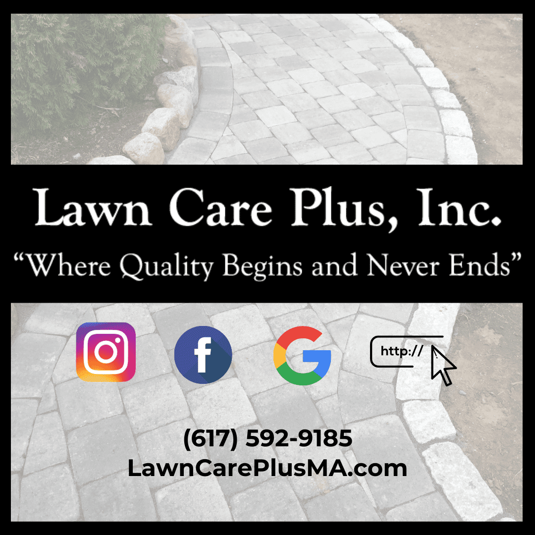 Follow Lawn Care Plus on Social Media