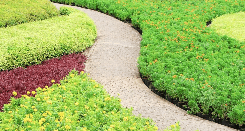 From Lawn to Garden: Landscaping Tips for Massachusetts Homeowners