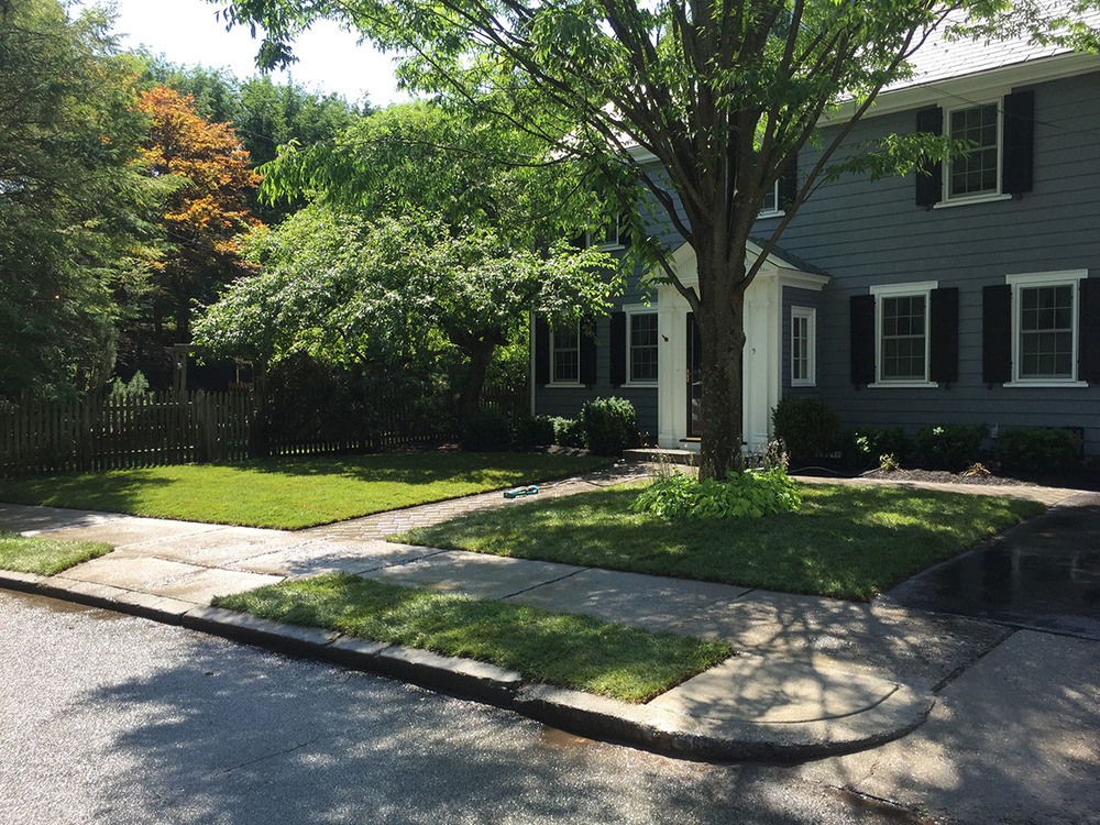 Landscpaing Services