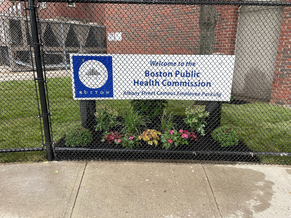 Commercial Landscaping and Plantings by Lawn Care Plus