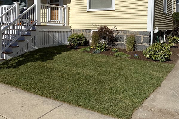 Budget Landscaping Solutions: Affordable Services Close to Home