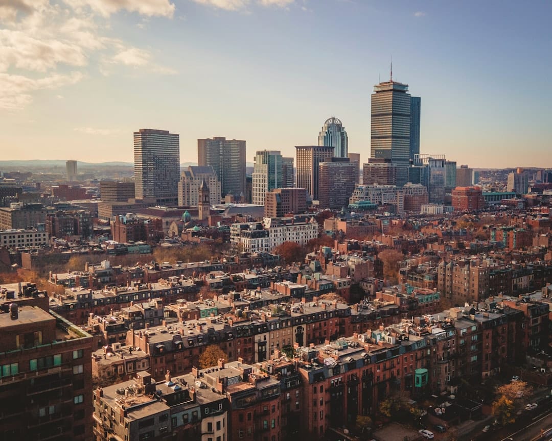 Transform Your Yard: Leading Boston Landscapers