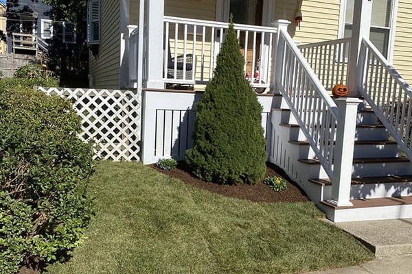 Comprehensive Guide to Local Tree and Landscaping Services