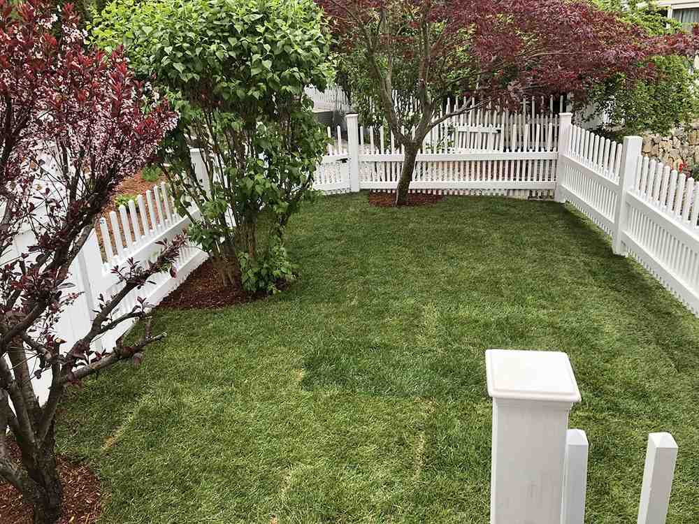 Your Guide to Nearby Lawn Maintenance: Trusted Services Listed