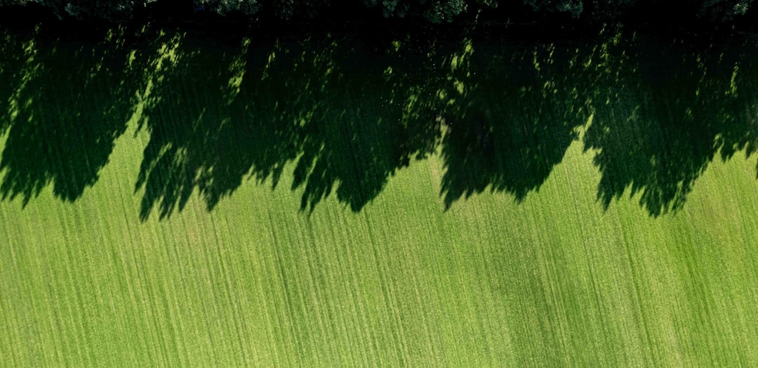 Mastering Your Lawn: The Benefits of Hydro Grass Seed Mastering Your Lawn: The Benefits of Hydro Grass Seed