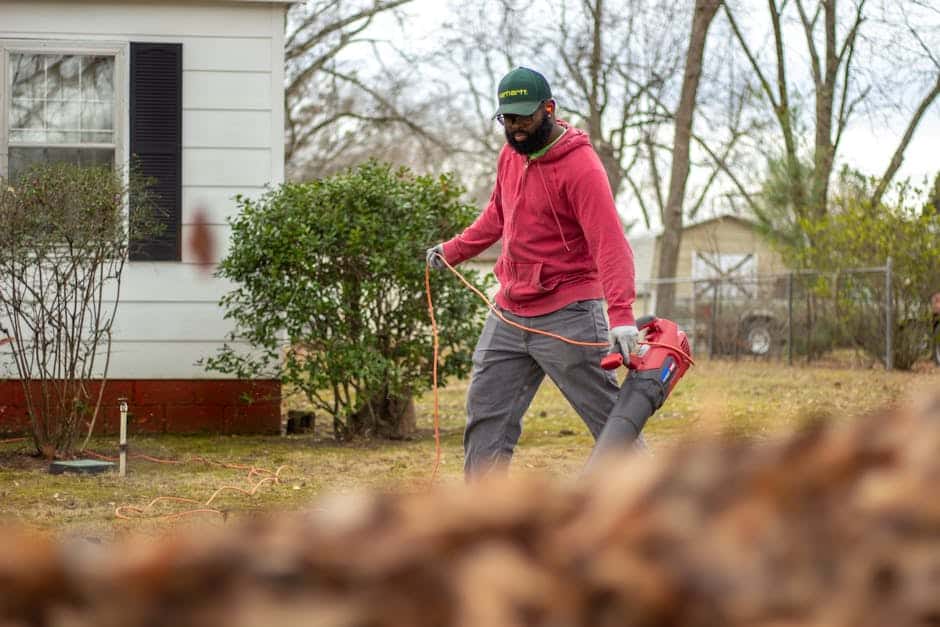 From Mess to Marvelous: Finding the Perfect Yard Cleanup Service