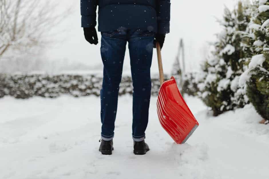 Your Guide to Snow Removal and Landscaping Services Your Guide to Snow Removal and Landscaping Services