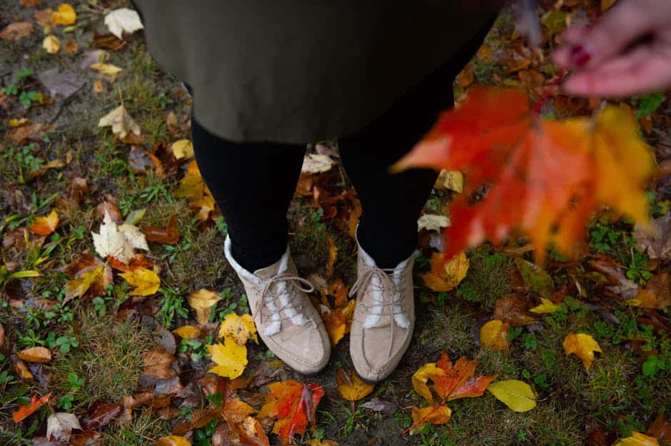 Rake in the Knowledge: How to Handle Fall Leaf Cleanup