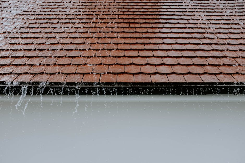 From Fixture to Sewer: Understanding Your House Drainage System