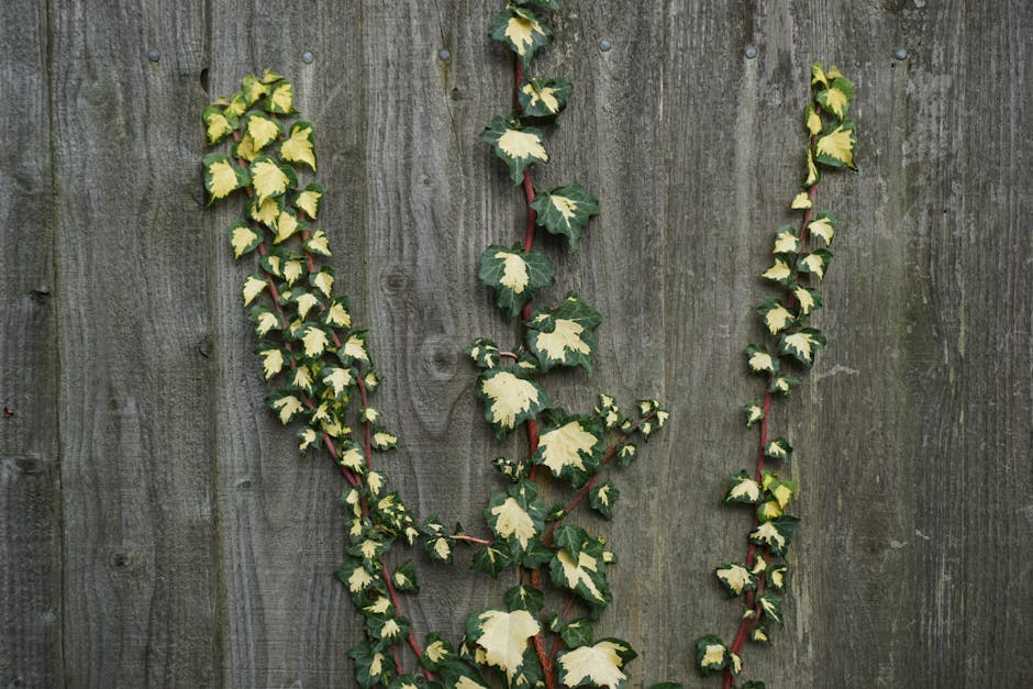 Your Local Guide to Reliable Fence Companies