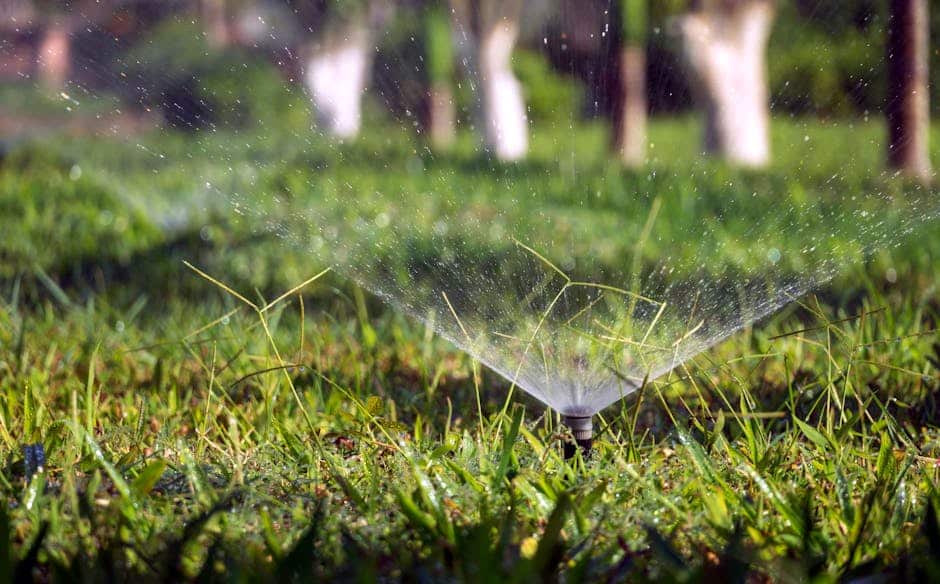 Finding the Right Lawn Care Provider Makes All the Difference for Your Green Space Finding the Right Lawn Care Provider Makes All the Difference for Your Green Space