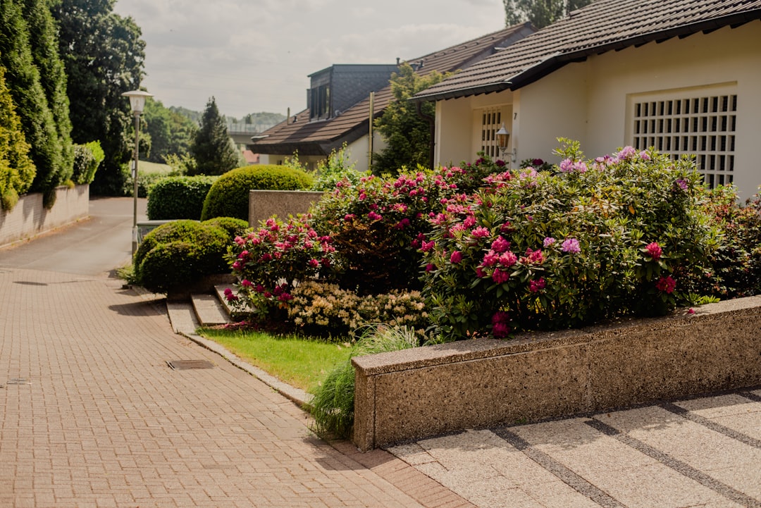 Yard Goals: Top Residential Landscaping Services Reviewed