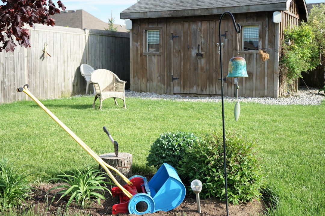 Spring Cleaning Your Yard? These Services Have You Covered