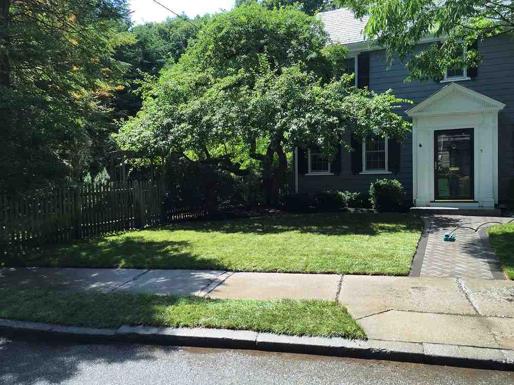 Close to Home, Close to Perfect: Top Fence Companies in Your Area