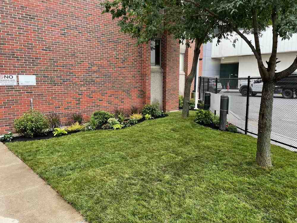 Pinterest-Worthy Commercial Landscapes: Design Ideas to Elevate Your Building