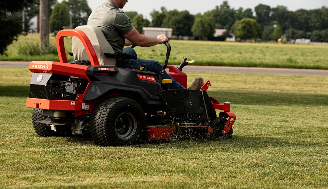 5 of the Best Yard Installation Services